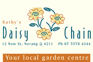 Daisy Chain Garden Centre logo and business card image