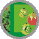 The Flower Garden
